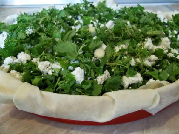 Börek mit Brennesseln - Isırgan Otlu Börek